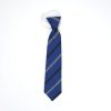 Paulstown National School Tie